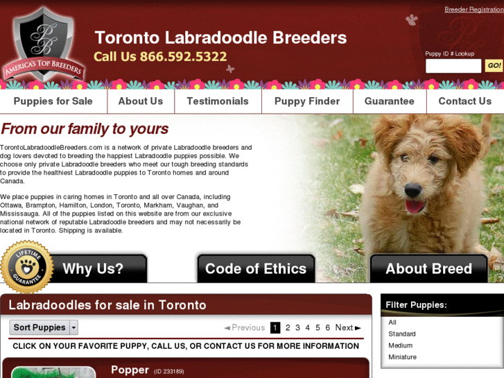 www.torontolabradoodlebreeders.com