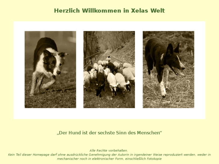 www.xelas-welt.net