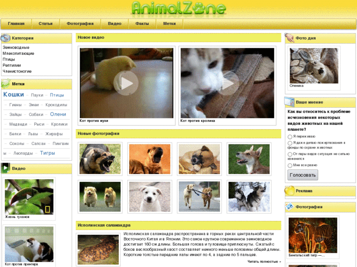 www.animalzone.ru