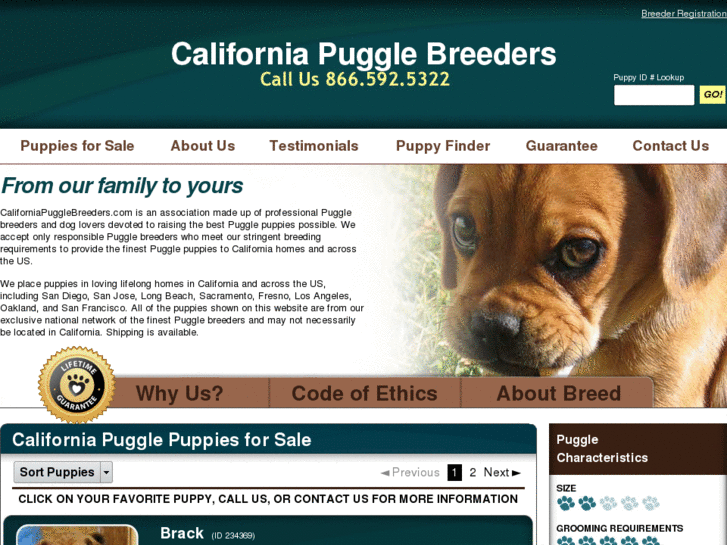 www.californiapugglebreeders.com