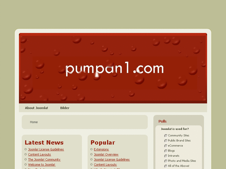 www.pumpan1.com