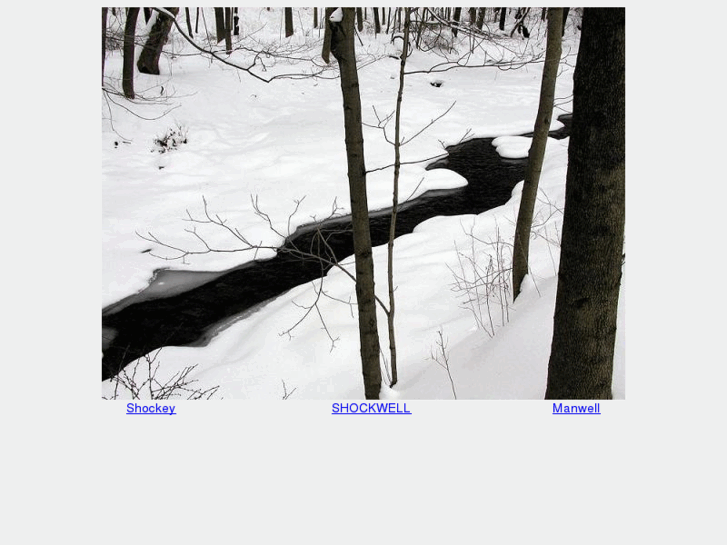 www.shockwell.net
