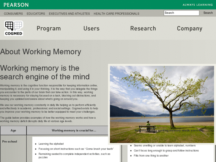 www.aboutworkingmemory.com