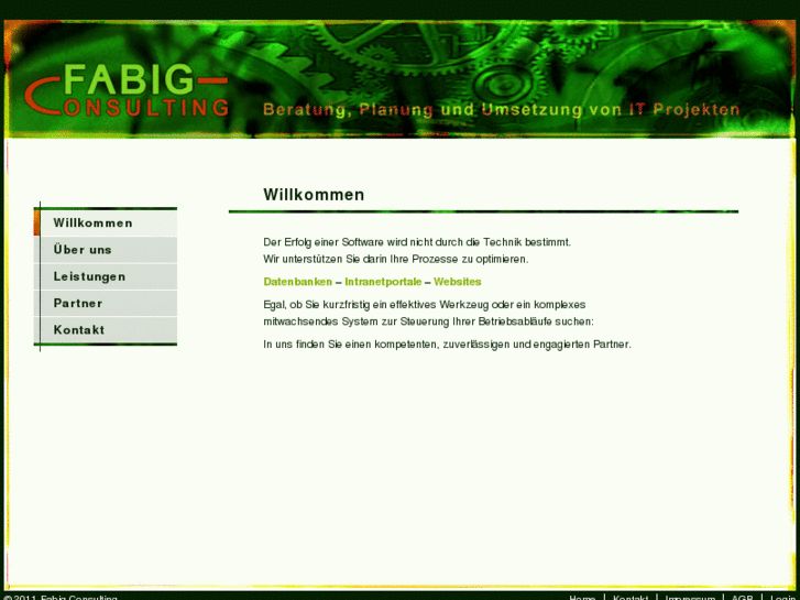 www.fabig-consulting.com