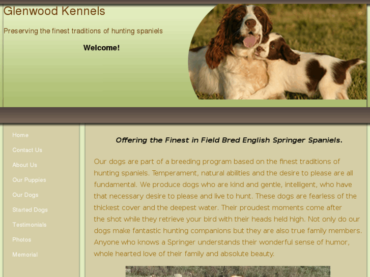 www.glenwoodkennels.com