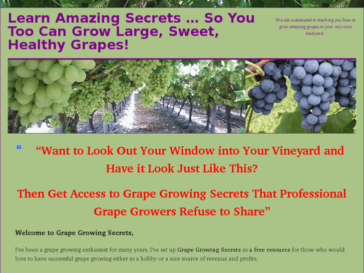 www.learnhowtogrowgrapes.com