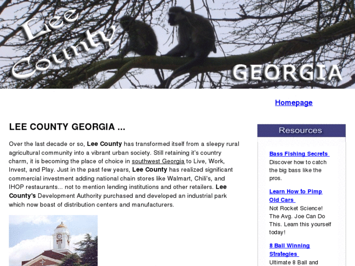 www.leecounty-ga.com