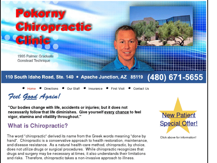 www.pokornychiropractic.com