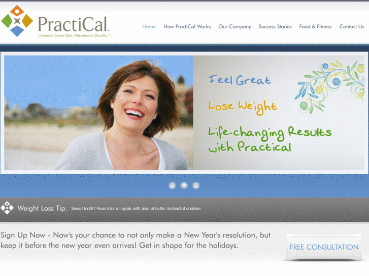 www.practicallifestyleplan.com