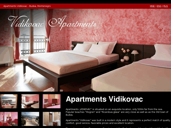 www.villavidikovac.com