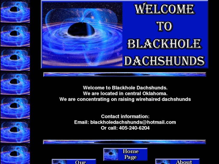 www.blackholedachshunds.com