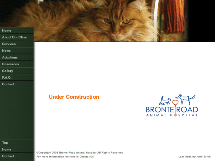 www.brontevet.com