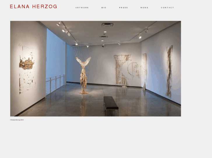 www.elanaherzog.com