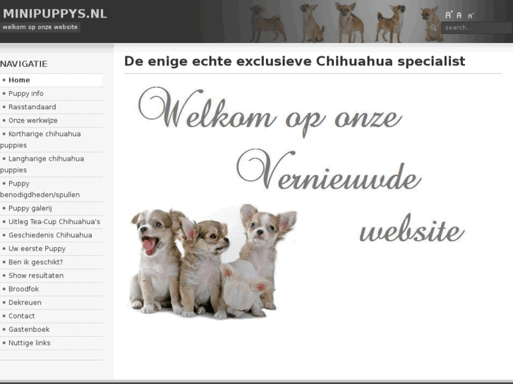 www.minipuppys.com