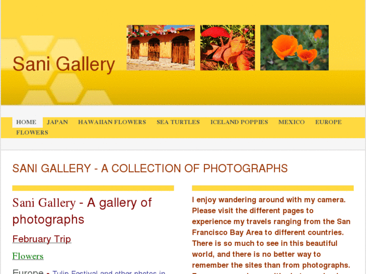 www.sanigallery.com