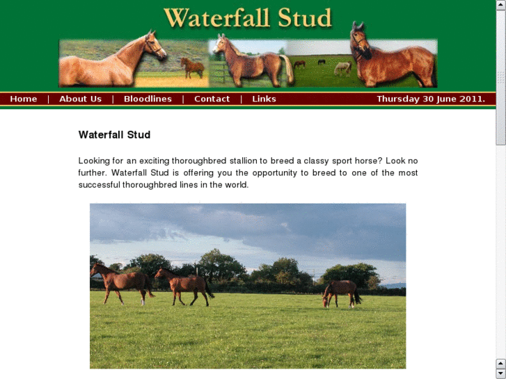 www.waterfallstud.com