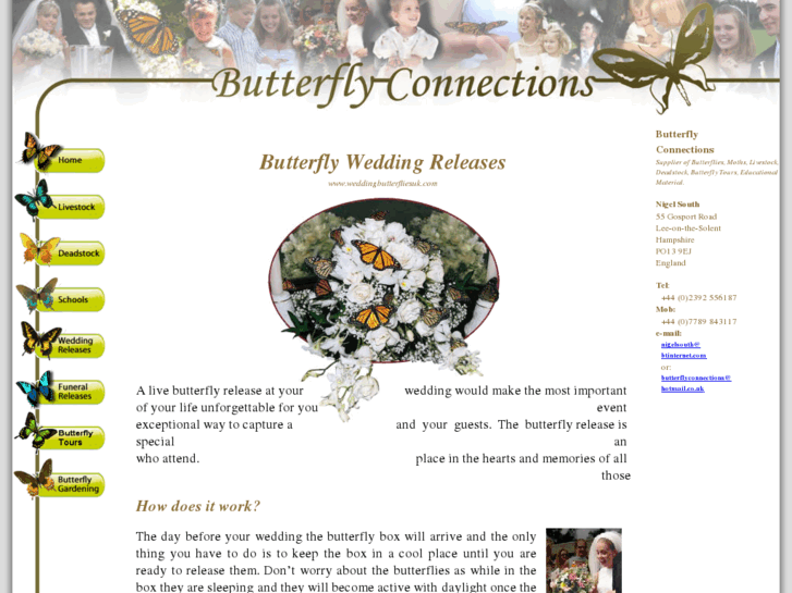 www.weddingbutterfliesuk.com