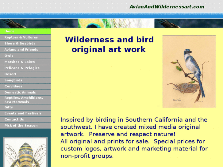 www.avianandwildernessart.com