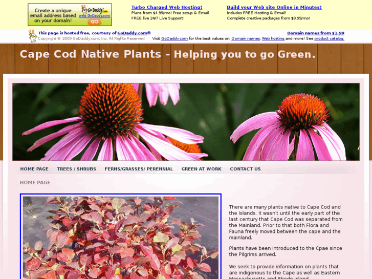 www.capecodnativeplants.com