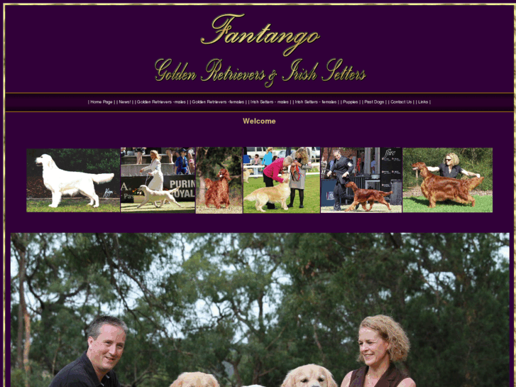 www.fantangogoldens.com