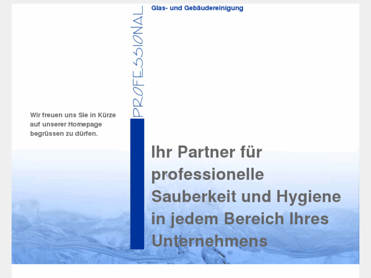 www.gebaeudereinigung-professional.com