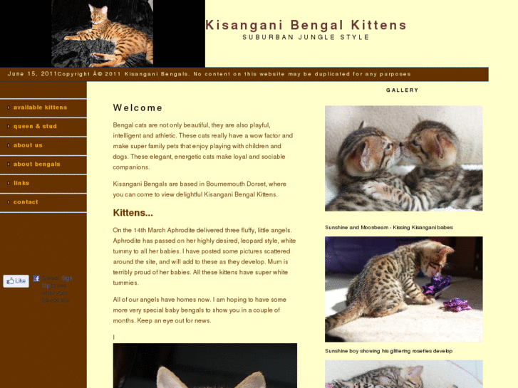 www.kisanganibengals.com