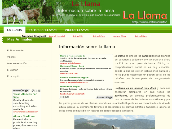 www.lallama.info