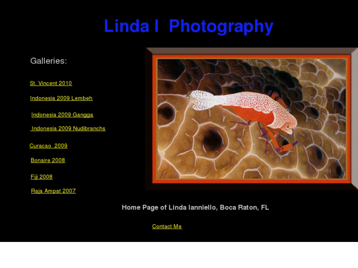 www.lindai.us