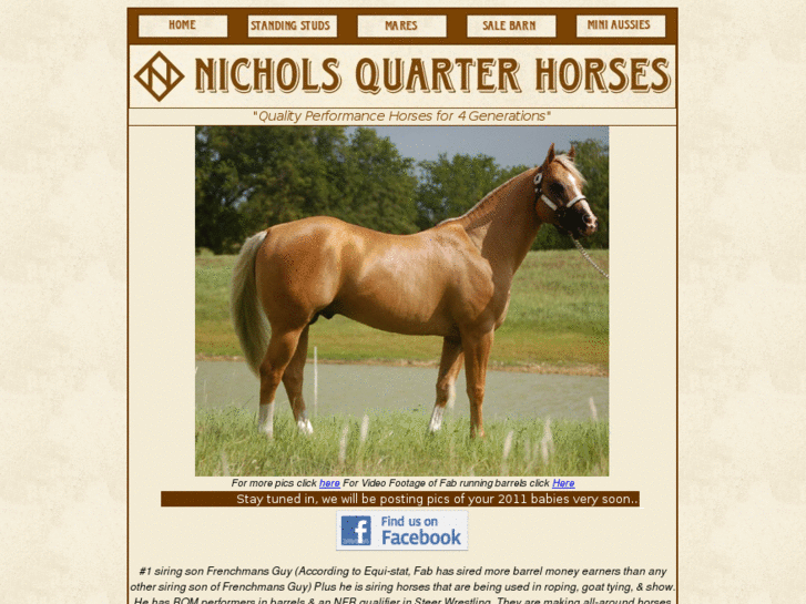 www.nicholsquarterhorses.com