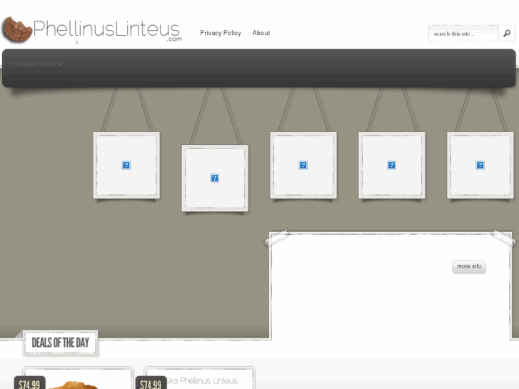 www.phellinuslinteus.com