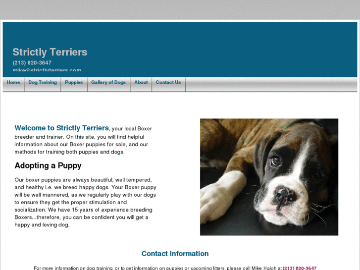 www.strictlyterriers.com