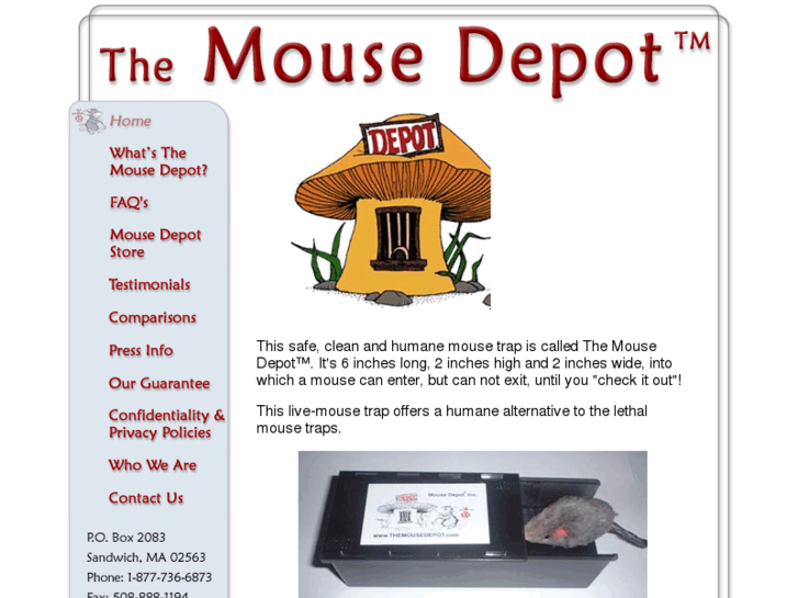 www.themousedepot.com