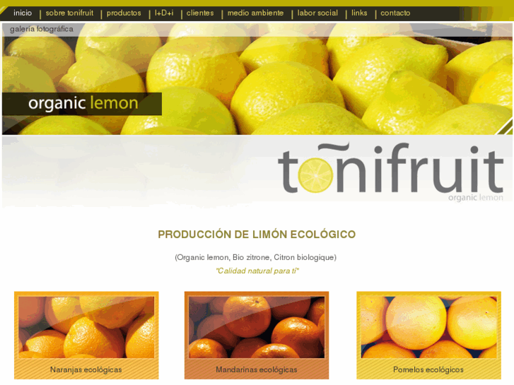 www.tonifruit.com