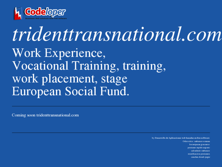 www.tridenttransnational.com