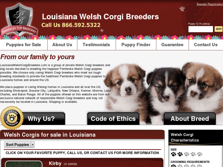 www.louisianawelshcorgibreeders.com