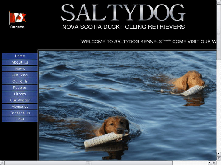 www.saltydogkennels.com