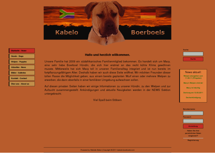 www.kabelo-boerboels.com