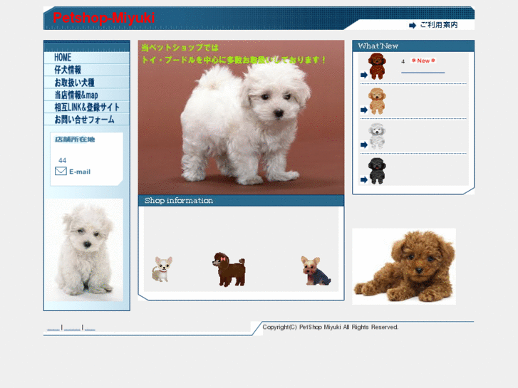 www.petshop-miyuki.com