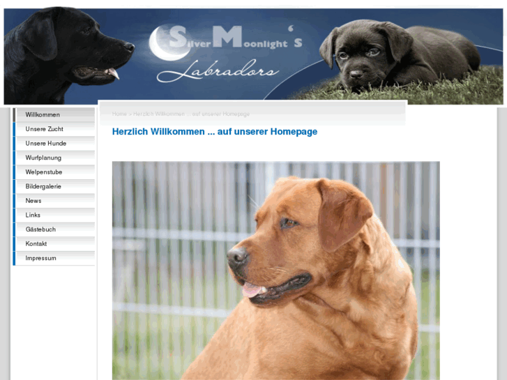 www.silver-moonlights.de