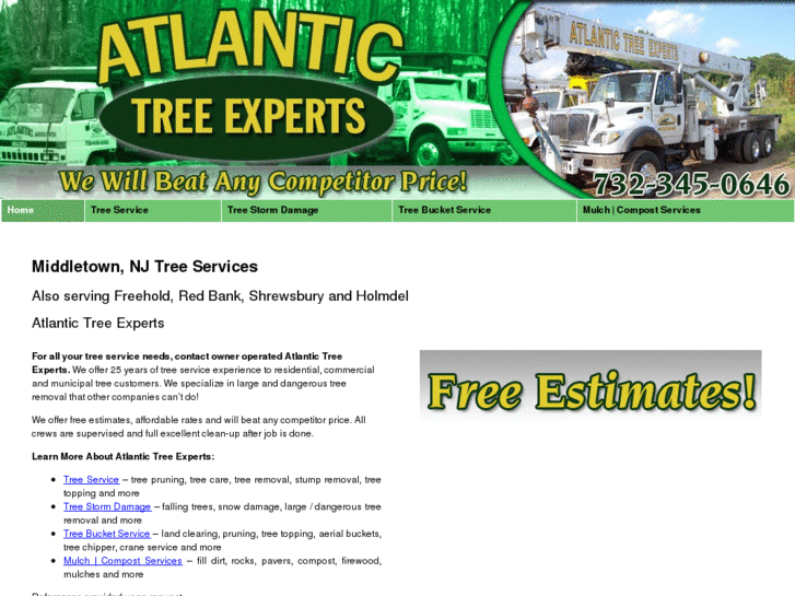 www.atlantictreeexperts.com