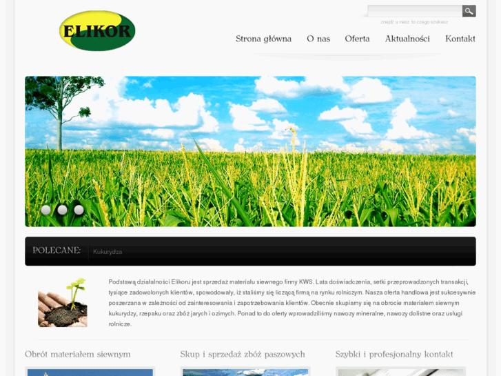 www.elikor.pl