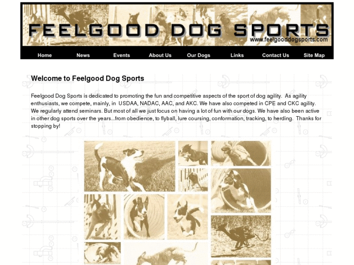 www.feelgooddogsports.com