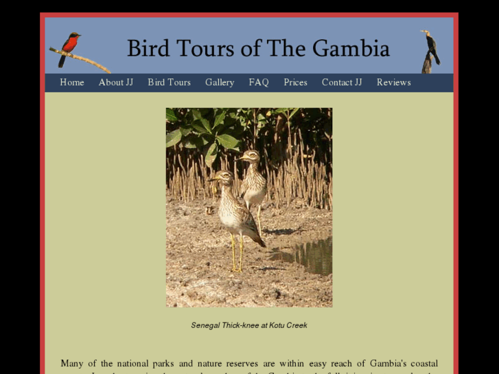 www.gambiabirdguide.com