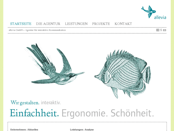 www.krach-tiedtke.de