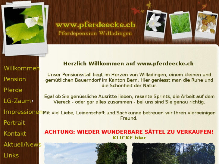 www.pferdeecke.ch