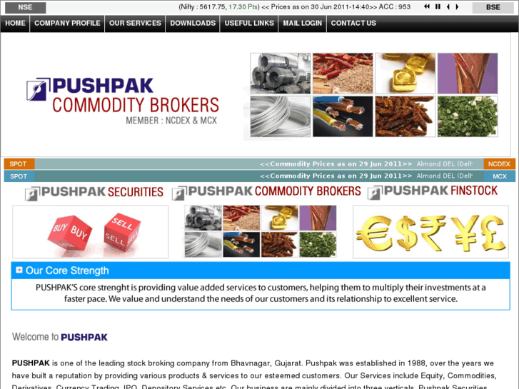 www.pushpaksecurities.com