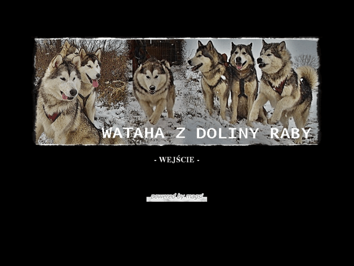 www.wataha-malamuty.com