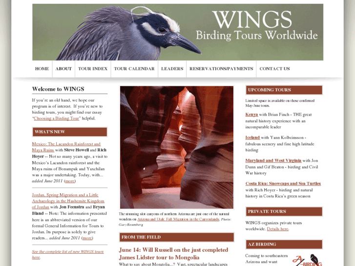 www.wingsbirds.com