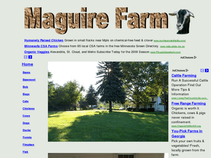 www.maguirefarm.com