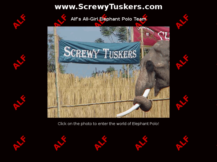 www.screwytuskers.com